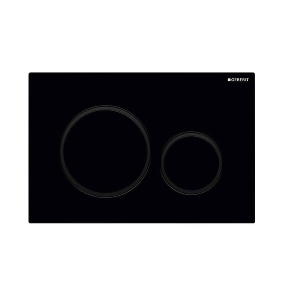 Geberit Sigma20 Dual Flush Plate Available in 12 Finishes