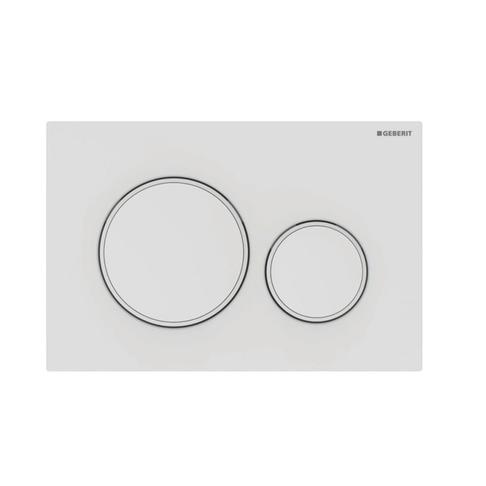Geberit Sigma20 Dual Flush Plate Available in 12 Finishes