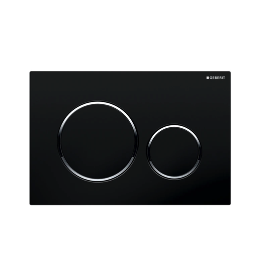 Geberit Sigma20 Dual Flush Plate Available in 12 Finishes