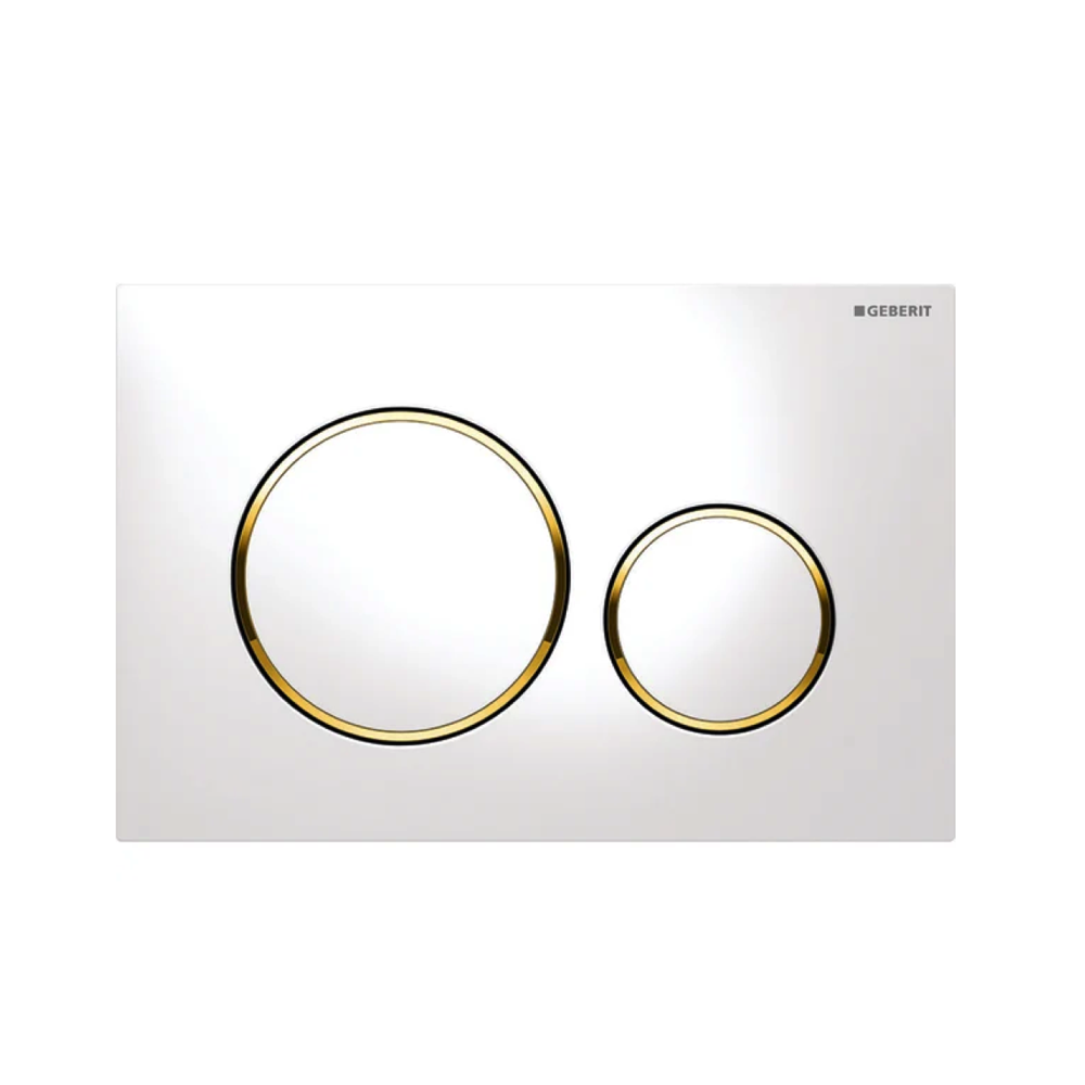 Geberit Sigma20 Dual Flush Plate Available in 12 Finishes