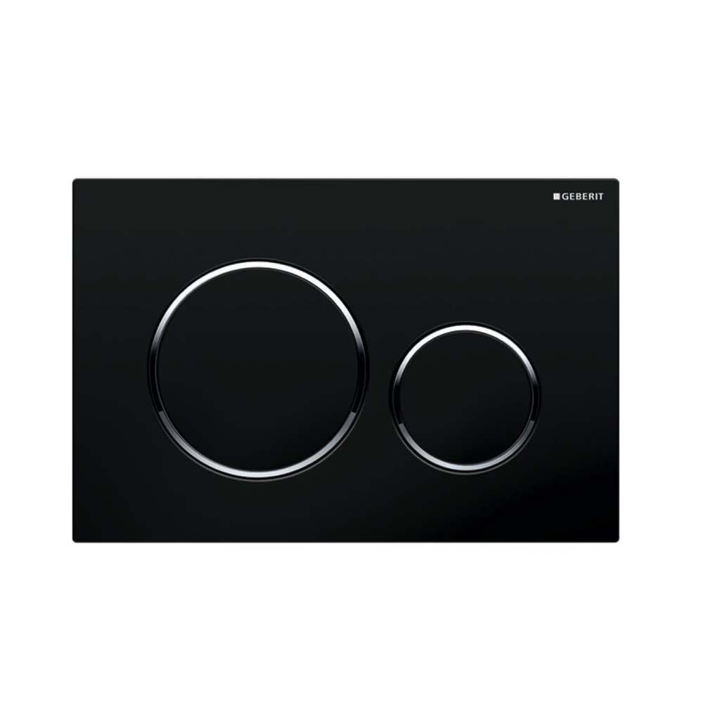 Geberit Sigma20 Dual Flush Plate Available in 12 Finishes