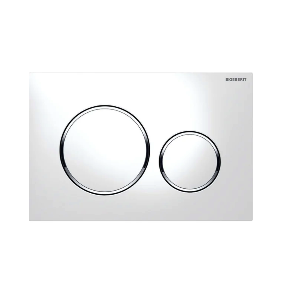 Geberit Sigma20 Dual Flush Plate Available in 12 Finishes