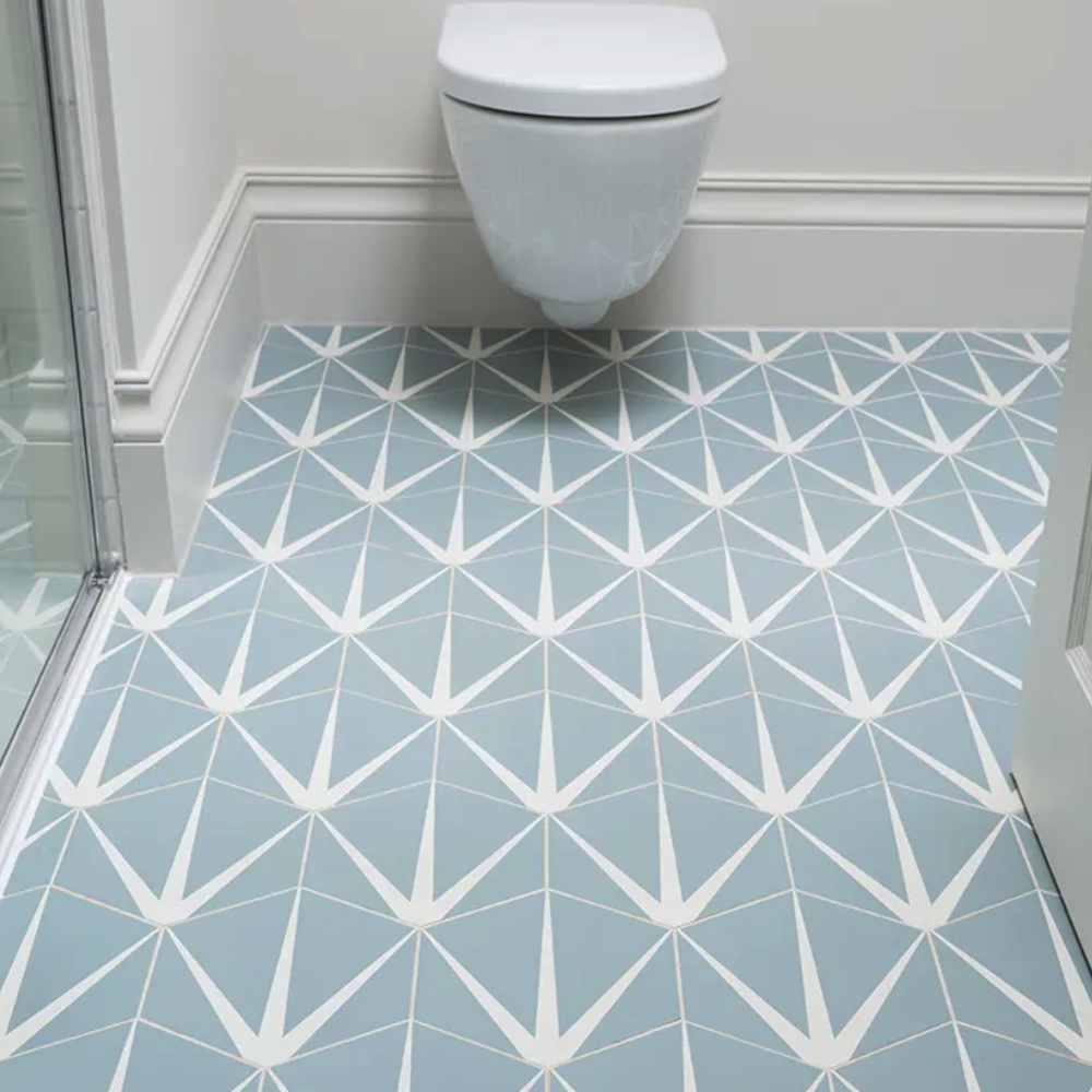 Bathroom with geometric patterned floor tiles and a toilet.