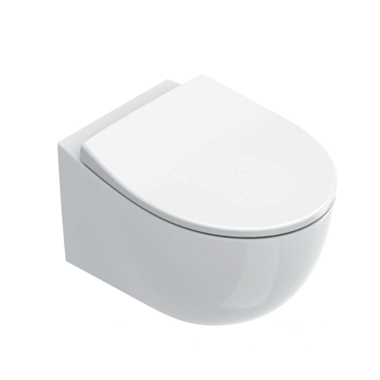 Catalano Italy 52 Wall-Hung Rimless Toilet 2