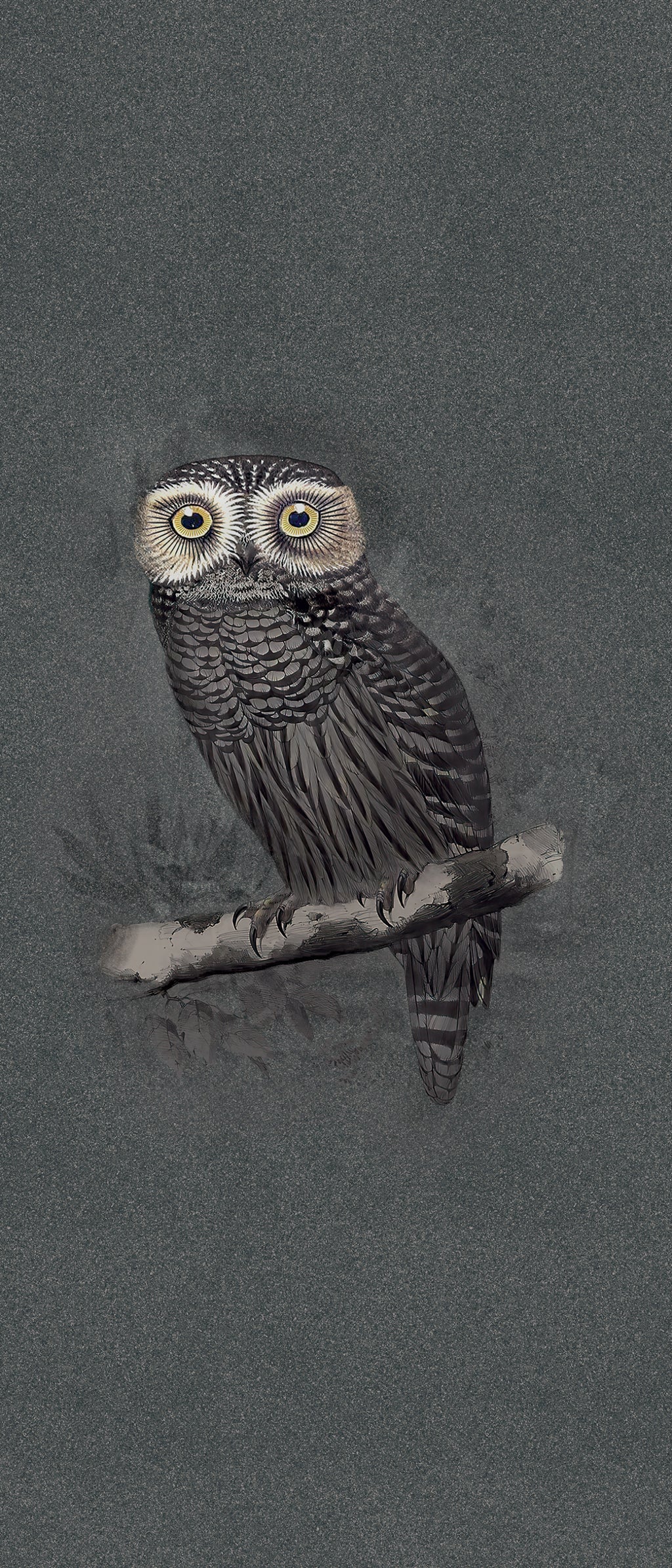 ABK Special Edition Hypnotic Owl colour swatch