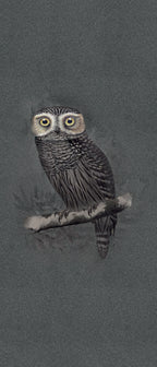 ABK Special Edition Hypnotic Owl colour swatch