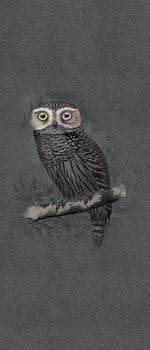 Hypnotic Owl