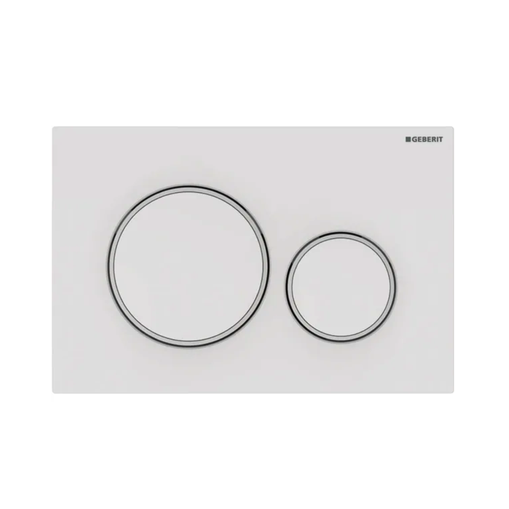 Geberit Sigma20 Dual Flush Plate Available in 12 Finishes