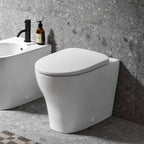 Geberit Back-to-Wall 4-in-1 Pack with Selnova Rimless Pan