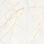 Golden Spider