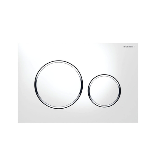 Geberit Sigma20 Dual Flush Plate Available in 12 Finishes