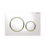 White / Gold