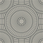 Hypnotic Owl Titanium