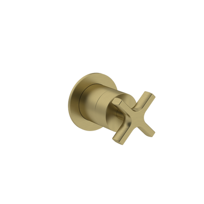 Brushed Brass