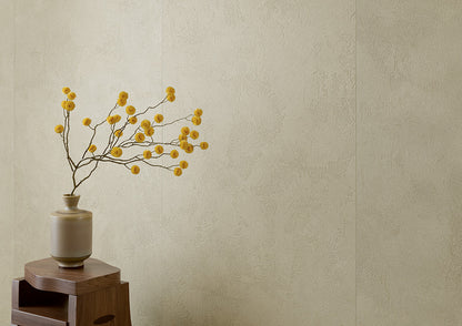 Fioranese Fusion Plaster Sage 75x149.7 wall lifestyle