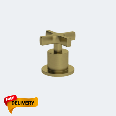 Brushed Brass