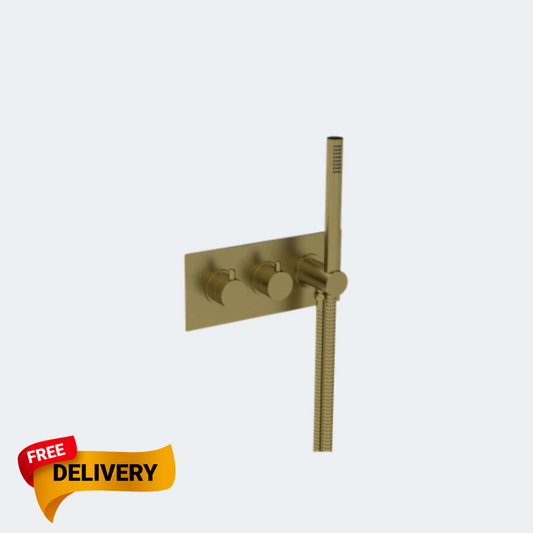 Coalbrook 2 Outlet Shower Value with HandSpray DO3101 including C-Box CO3101 ( 4 Colours Available )