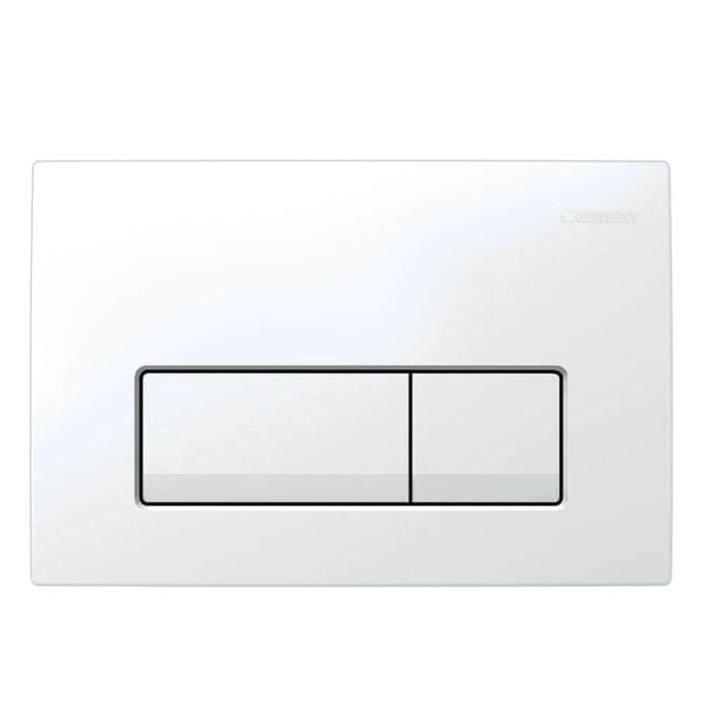 Geberit Delta50 Dual Flush Plate in Alpine White