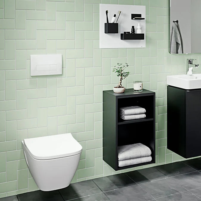Geberit Delta50 Dual Flush Plate in Alpine White