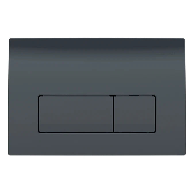 Geberit Delta50 Dual Flush Plate in Matt Black