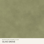 Olive Grove