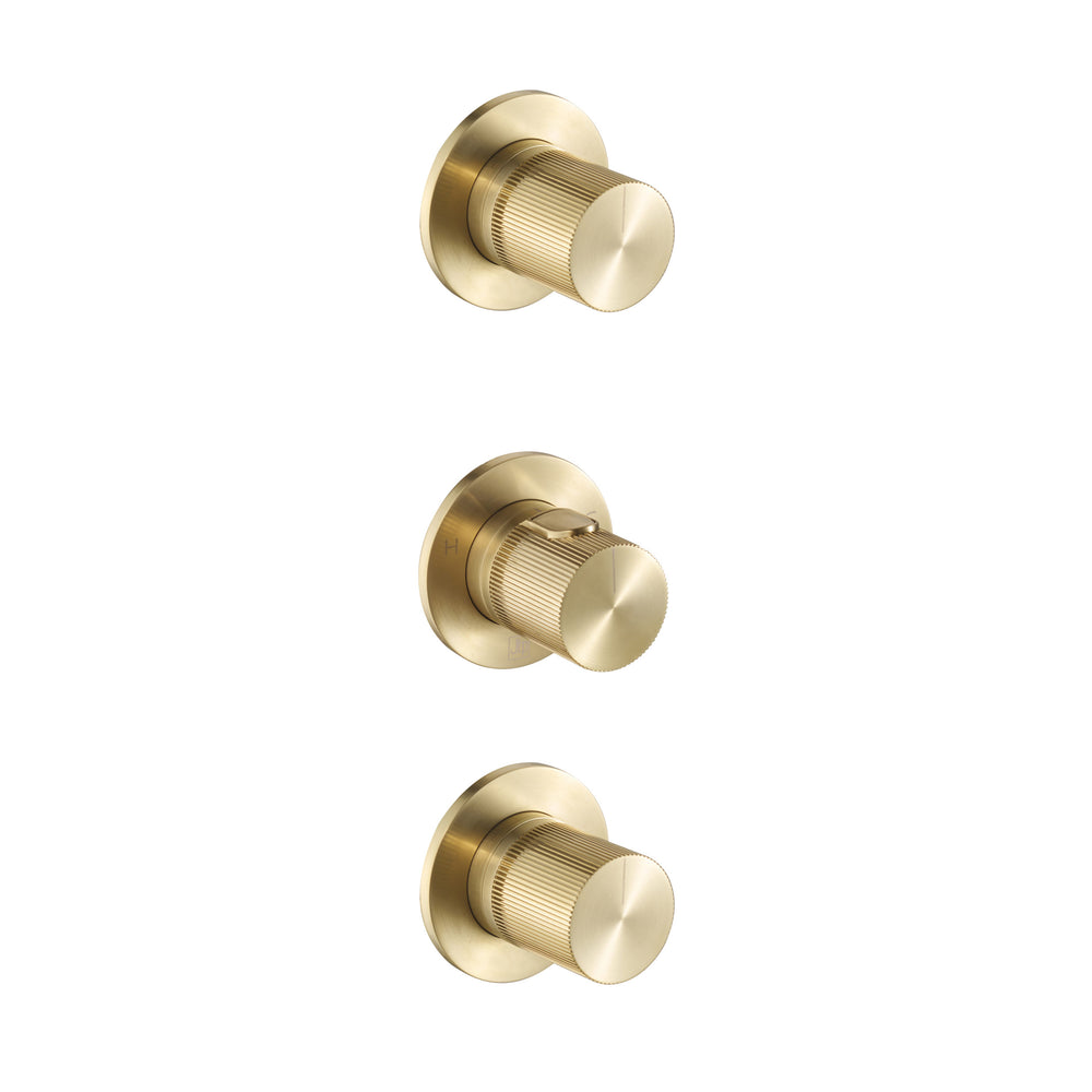 JTP EVO Modular Thermostatic Concealed 2 Outlet Shower Valve 790 in Brushed Brass