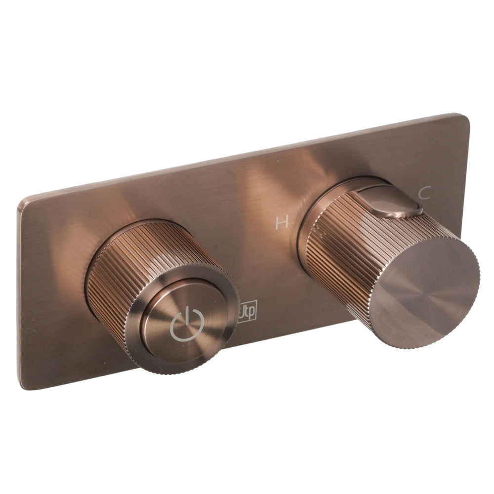 JTP EVO Thermostatic Concealed 3 Outlet Shower Valve 123 in Brushed Bronze
