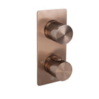 JTP EVO Thermostatic Concealed 2 Outlet Shower Valve 671 in Brushed Bronze