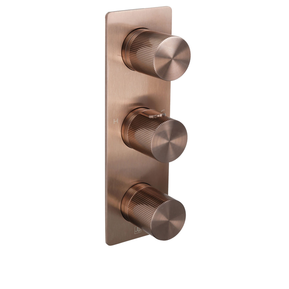 JTP EVO Thermostatic Concealed 2 Outlet Shower Valve, Vertical in Brushed Bronze