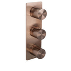 JTP EVO Thermostatic Concealed 2 Outlet Shower Valve, Vertical in Brushed Bronze