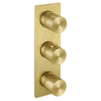 JTP EVO Thermostatic Concealed 2 Outlet Shower Valve, Vertical in Brushed Brass