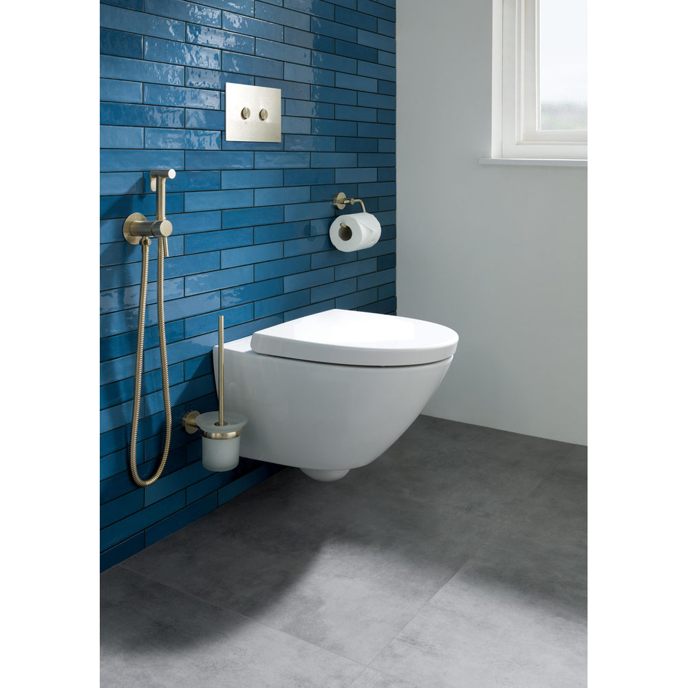 JTP VOS Wall Mounted Toilet Brush 165 in Brushed Brass