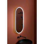 JTP Oval Oval LED Mirror with Front and Back Light