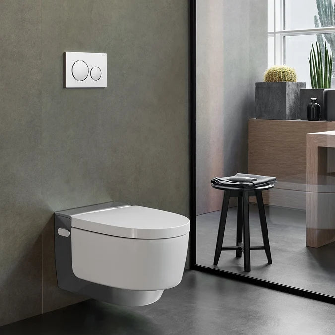 Geberit Sigma20 Dual Flush Plate