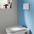 Geberit Sigma30 Dual Flush Plate in Matt White