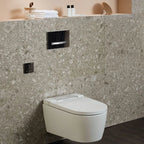 Geberit Sigma50 Dual Flush Plate in Black