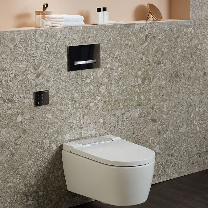 Geberit Sigma50 Dual Flush Plate in Black