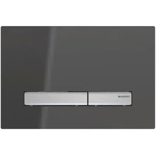 Geberit Sigma50 Dual Flush Plate in Smoked Reflective Glass