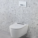 Geberit Sigma50 Dual Flush Plate in White