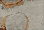 Coem Bali Light Green gresX2 20mm outdoor porcelain tile swatch