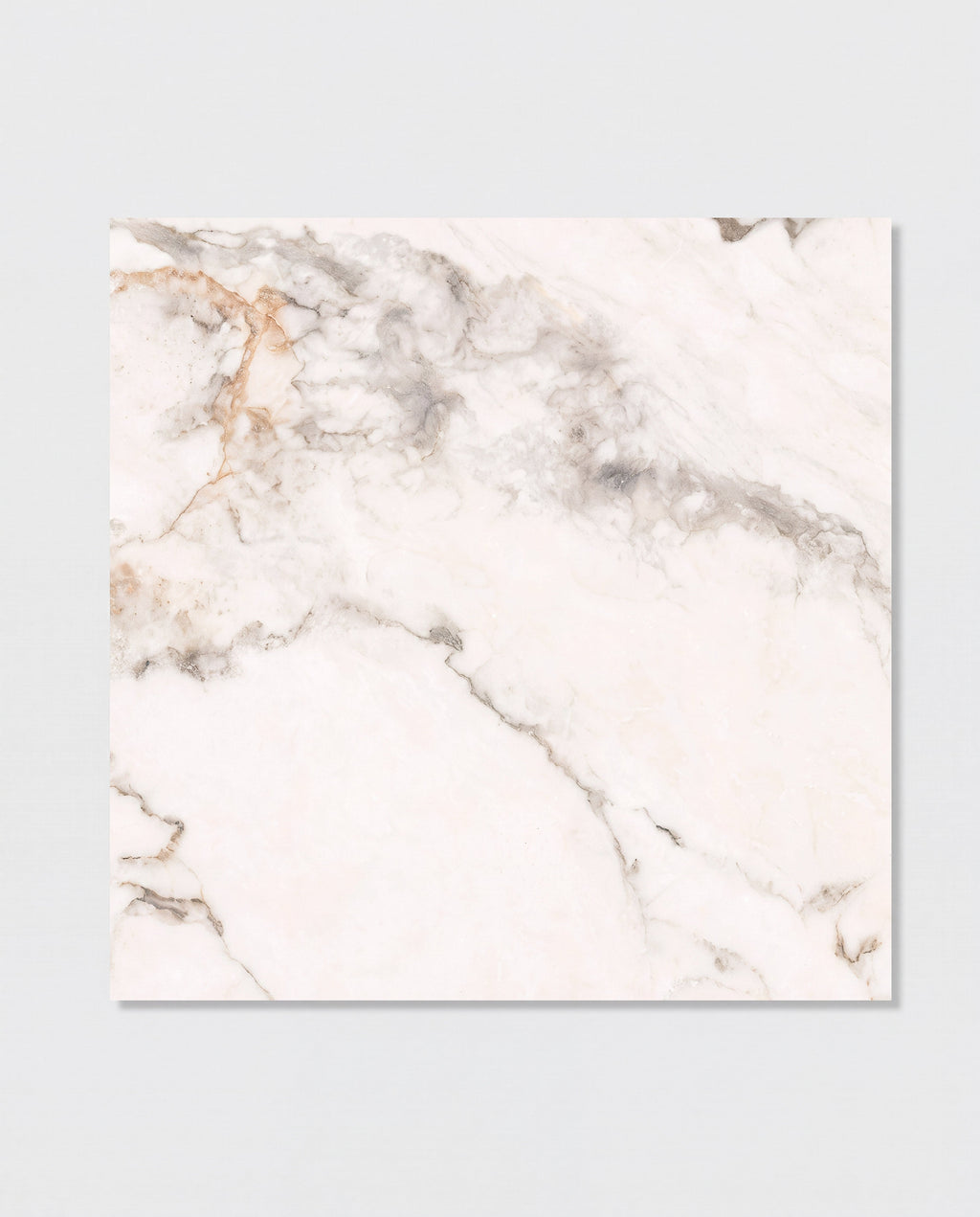 Ca’ Pietra Muscat Porcelain — official gallery image 2