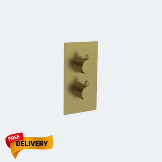 Concealed Shower Valve Trimset 1 Outlet DO3001 including C-Box CO3001 ( 4 Colours Available )