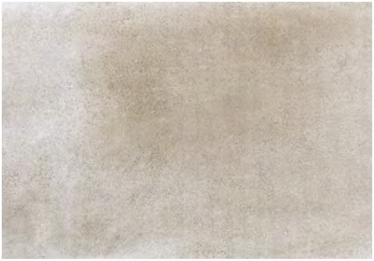 Coem English Stone Natural Grey gresX2 20mm outdoor porcelain tile swatch