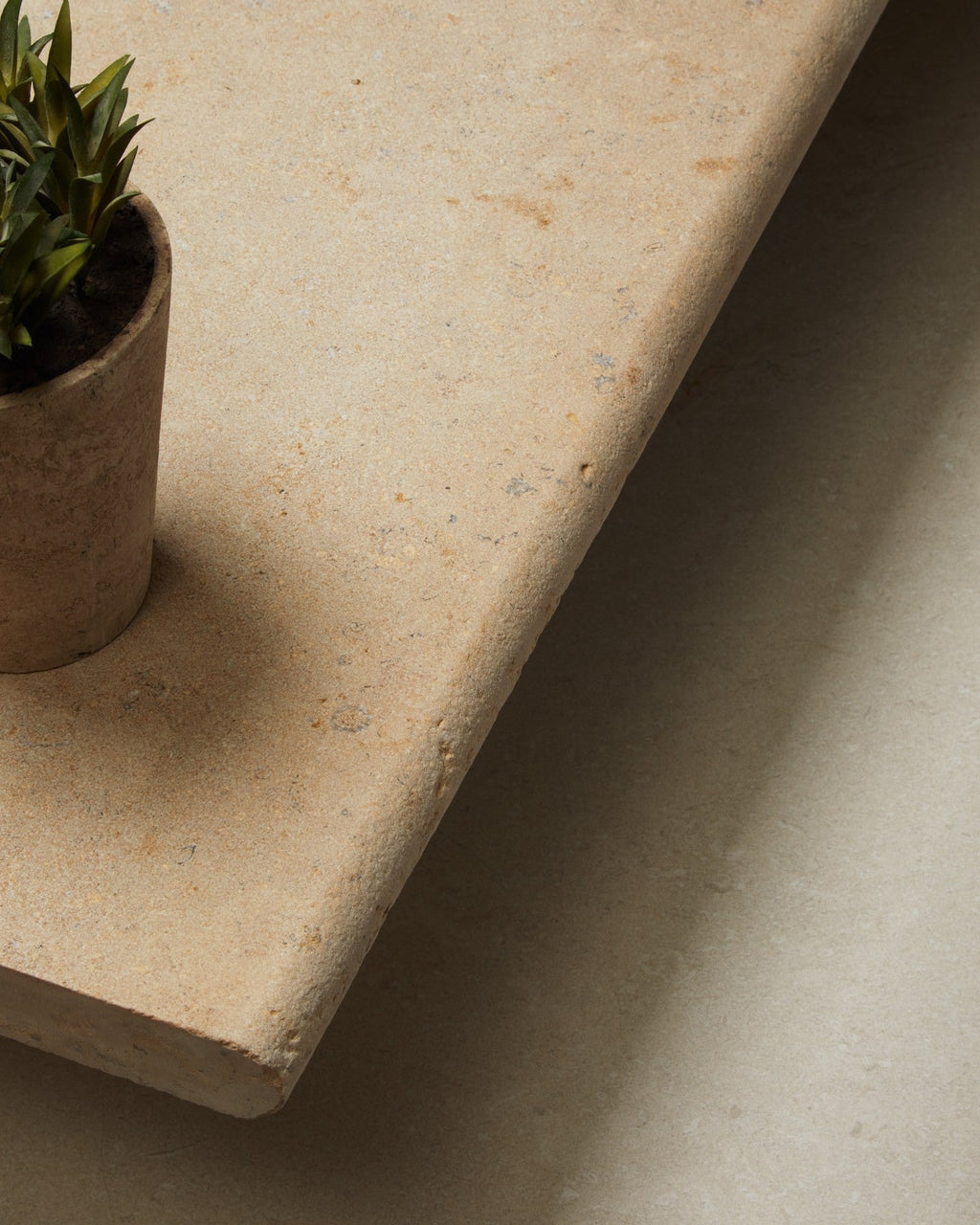 Ca’ Pietra Buscot Limestone Etched Bullnose Coping — official gallery image 7