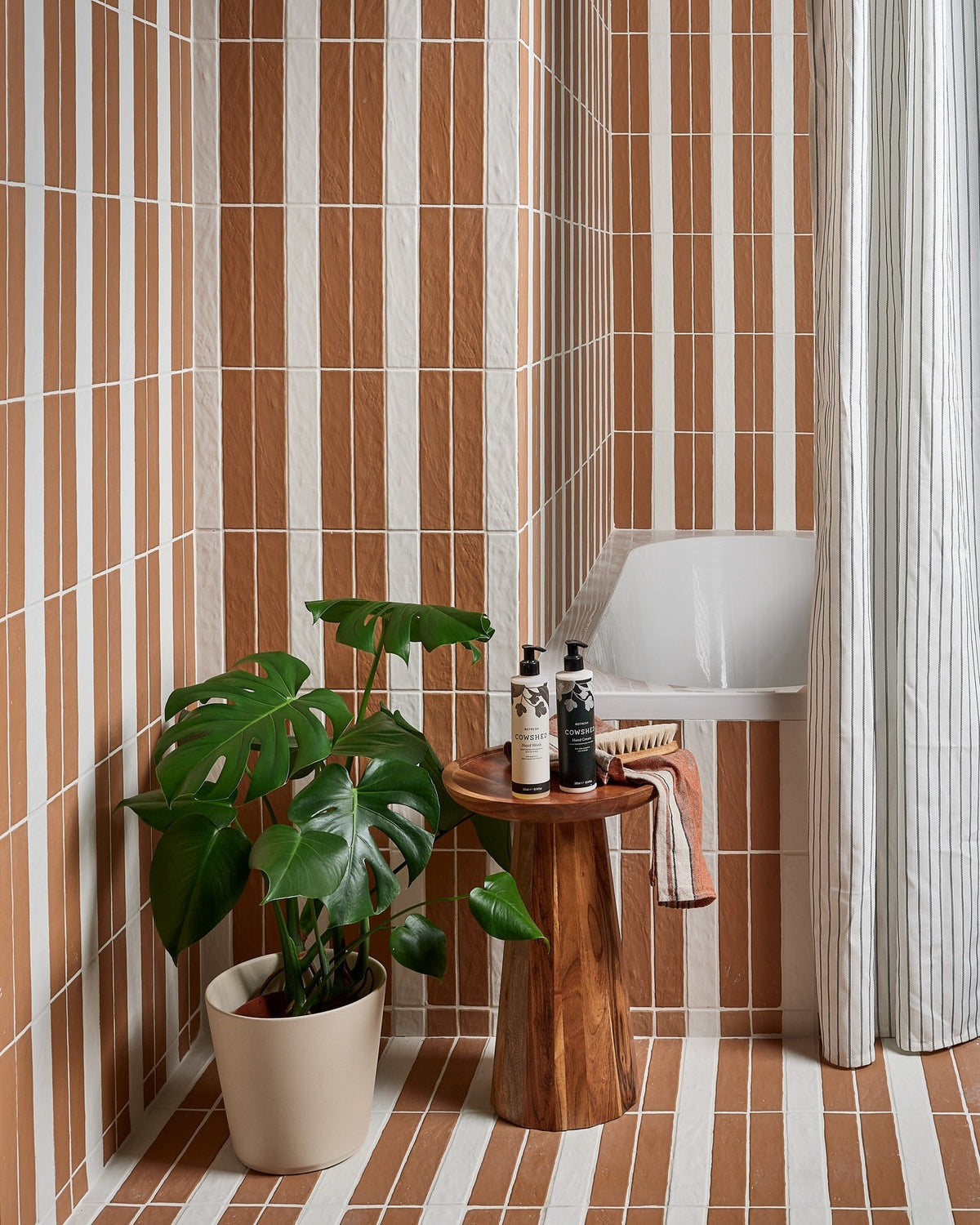Earthenware Collection