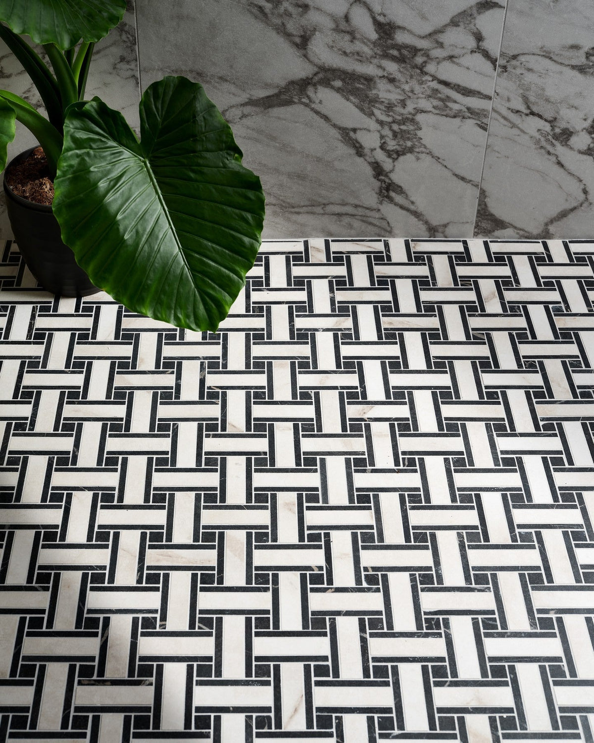 Ca’ Pietra East Village Porcelain Basketweave Mosaic Bianco — official gallery image 3