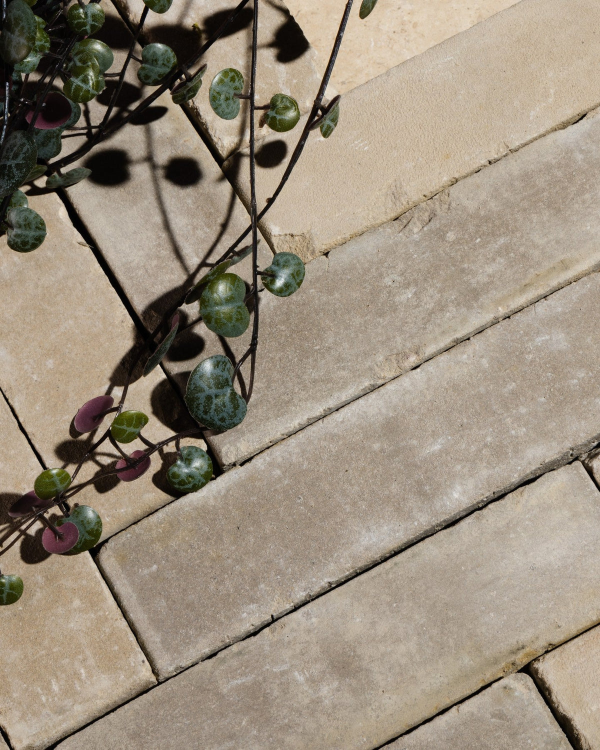 Ca’ Pietra Flanders Buff Tumbled Clay Pavers — official gallery image 6