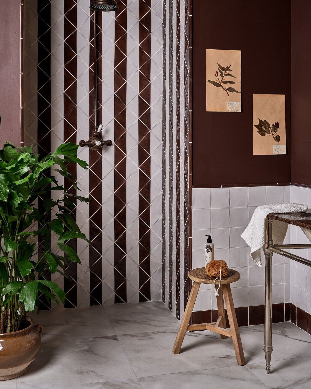 Ca’ Pietra STUDIO Jamboree Handpainted Ceramic Chocolate Tri — official gallery image 1