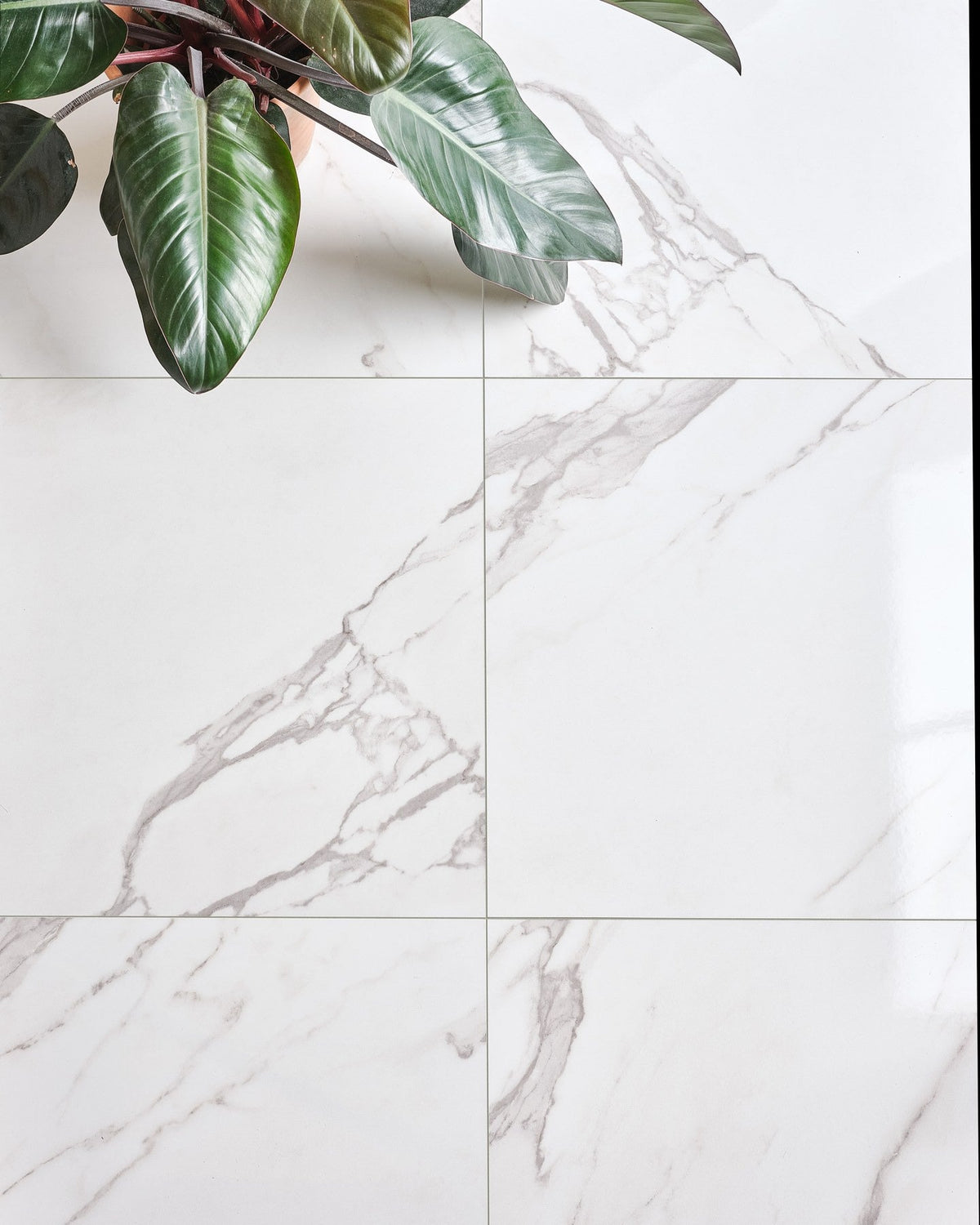 Ca’ Pietra Kensington Porcelain Gloss — official gallery image 3