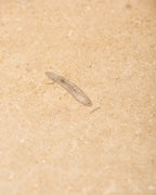 Ca’ Pietra Lacock Limestone Tumbled Finish — official gallery image 8